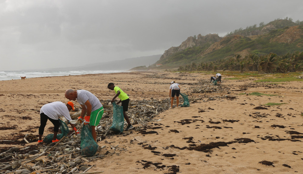 Why-Are-Coral-Reefs-Important-It's-an-Underwater-Ecosystem-Volunteers